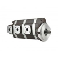 G5-25-20-12-08-1E13S-20L，G5-12-8-6-AH15S-20-L，G5-8-8-10-1E13S-20R,G5-25-10-10-1E13S-20R，多聯(lián)高壓齒輪泵